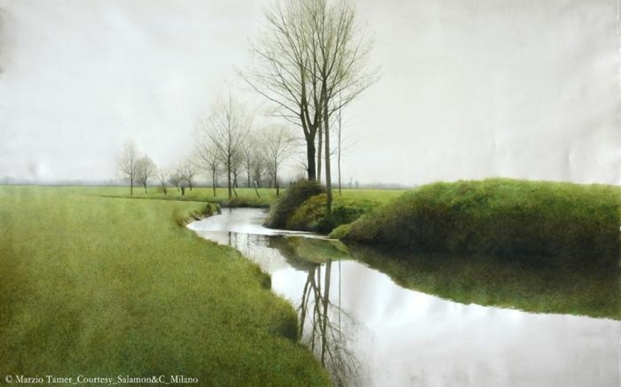 Immagine Marzio Tamer - Pittore per Natura