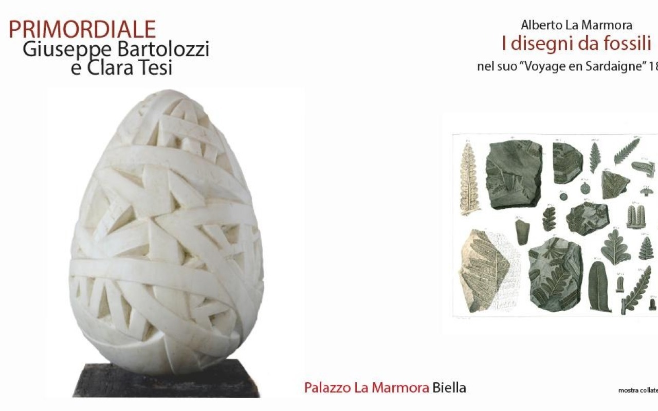Immagine Mostre collaterali a Selvatica