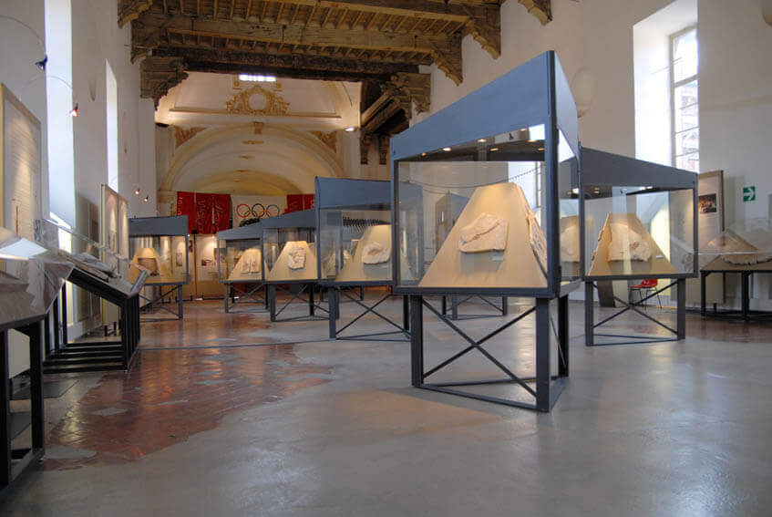 Immagine I Fossili di Bolca