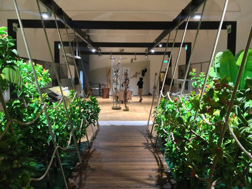 Immagine Ponte Museo di Scienze
